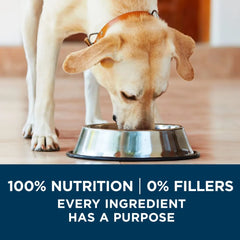 Adult Dry Dog Food Formula