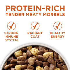 Dry Dog Food for Weight Control