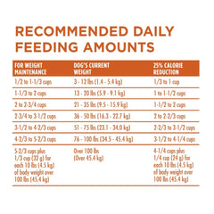 Dry Dog Food for Weight Control