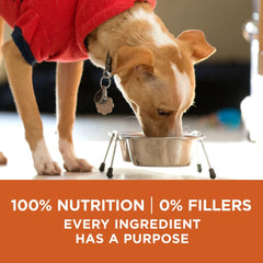 Dry Dog Food for Weight Control