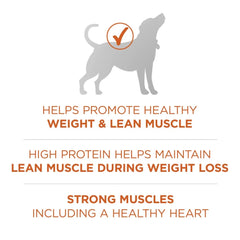 Dry Dog Food for Weight Control